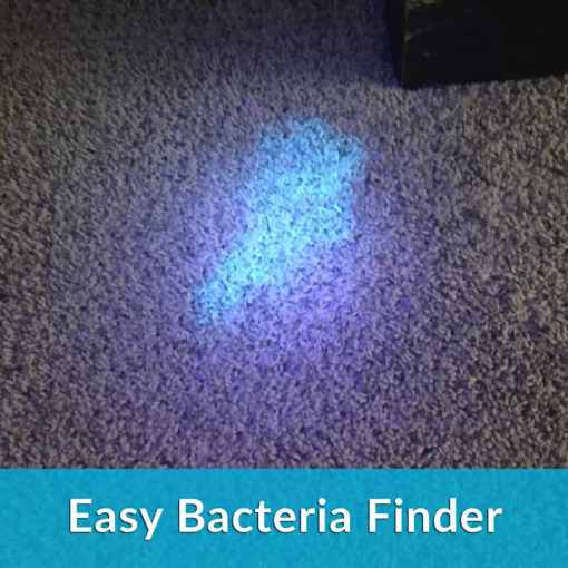 Ultraviolet (UV) LED Blacklight