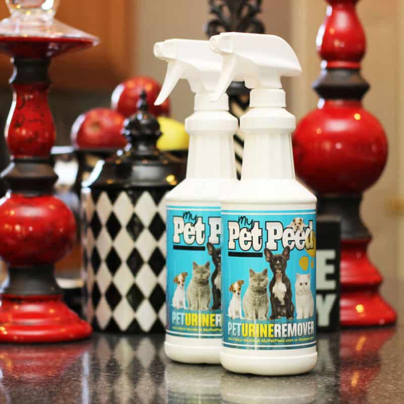 Dog Urine Remover by My Pet Peed Starter Pack (32oz & One Gallon