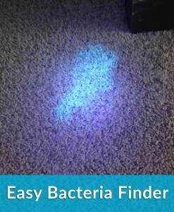 Ultraviolet (UV) LED Blacklight